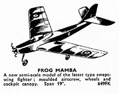 frog mamba illus
