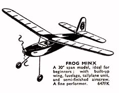 frog minx illus
