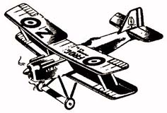 frog se5 illus