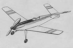 frog skipi illus