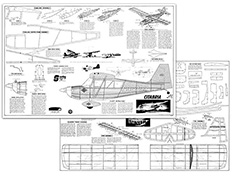 citabria 34in illus