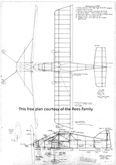 zippy sport rees illus