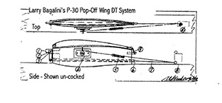 p30 popoffwing dt illus