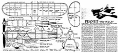 wee will jr mooney illus