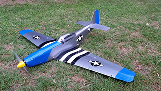 Mustang