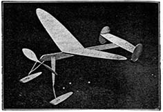 snowbird illus