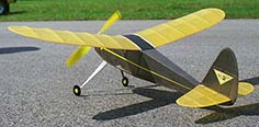 pacific ace 1