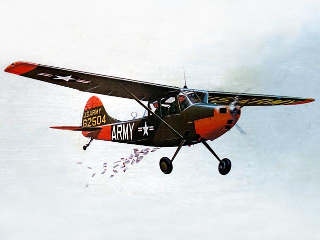 L 19 birddog sterling 17in