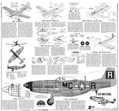 naaP51d illus