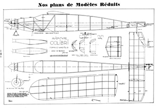 colibri illus