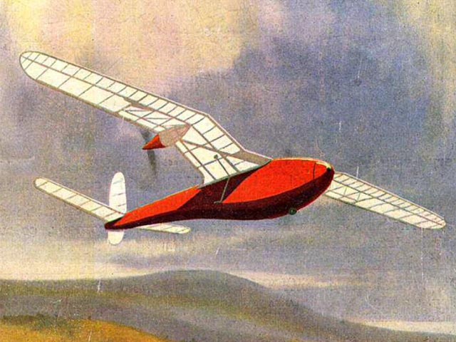twin gull illus