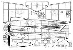 ole tiger illus