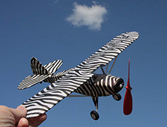 zebra vagabond