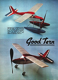 good tern illus